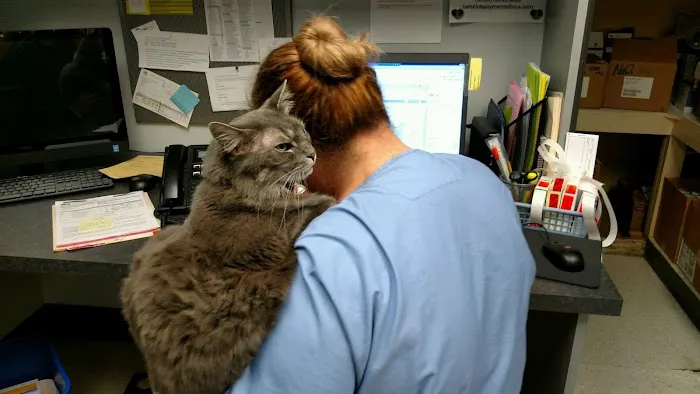 VCA Woodstock Animal Hospital 1