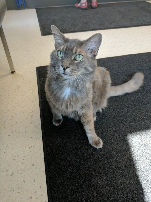 VCA Woodstock Animal Hospital 5