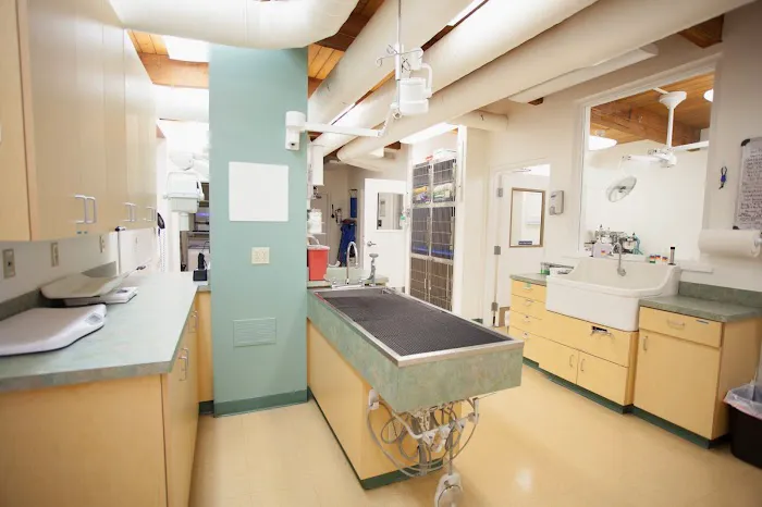 Hillsdale Veterinary Hospital 6