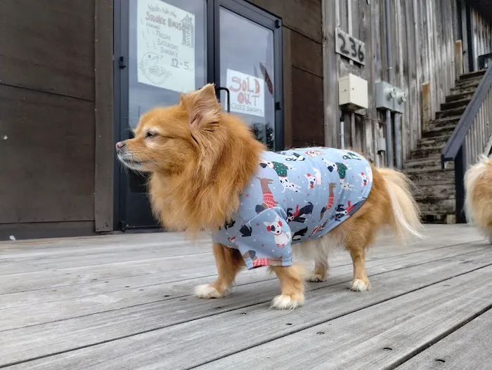 Hillsdale Veterinary Hospital 7