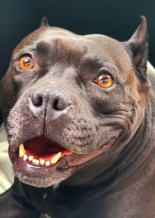 Banfield Pet Hospital 7