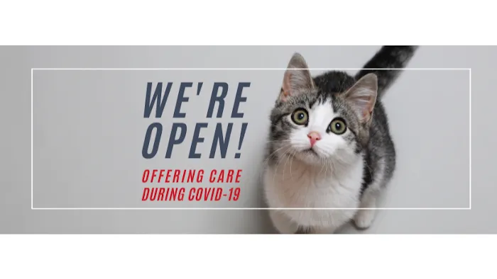 Cat & Dog Hospital of Portland 8