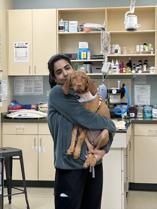 Burlingame Veterinary Clinic 12