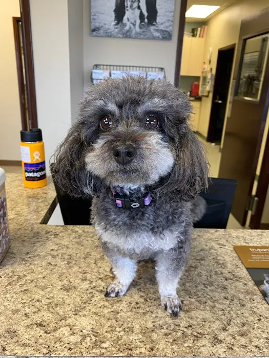 Burlingame Veterinary Clinic 12