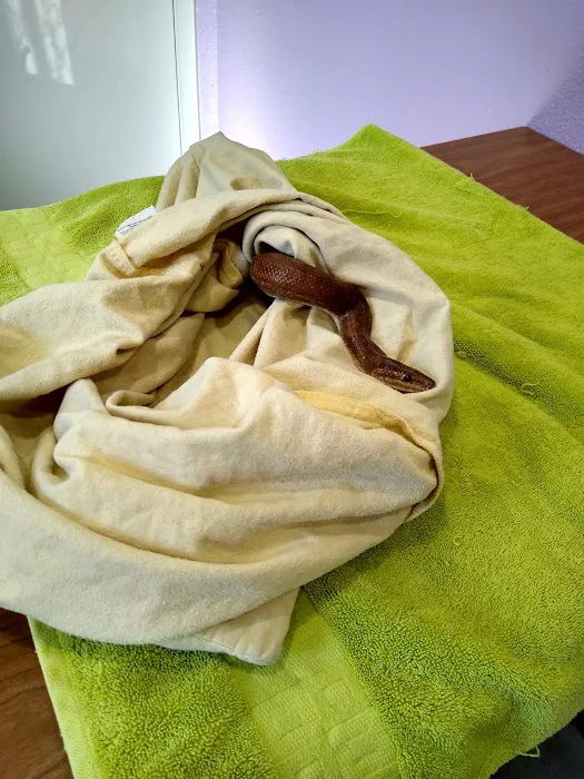 Scales & Tails Exotic Pet Clinic 12