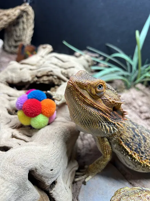 Scales & Tails Exotic Pet Clinic 12