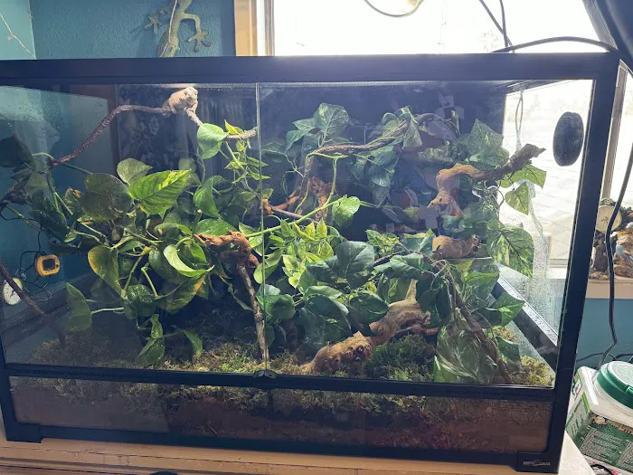 Scales & Tails Exotic Pet Clinic 12