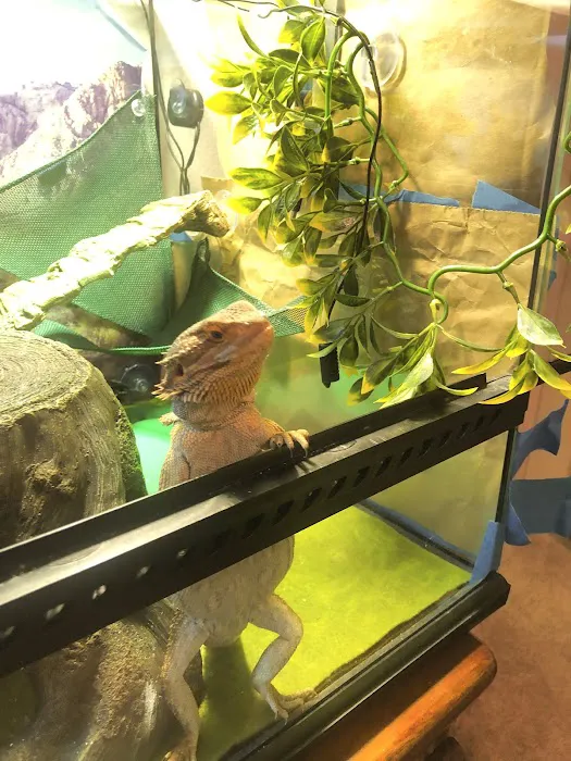 Scales & Tails Exotic Pet Clinic 12