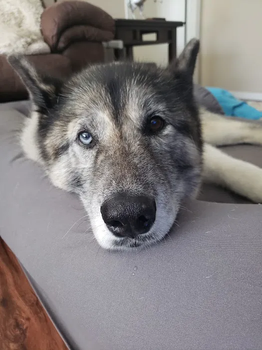 OREV, Specialty Vet Care 9