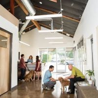 OREV, Specialty Vet Care ico