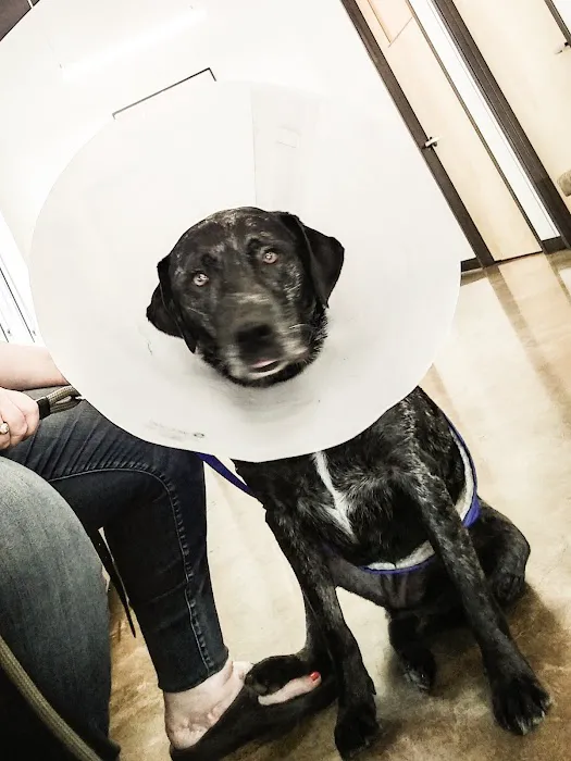 OREV, Specialty Vet Care 7