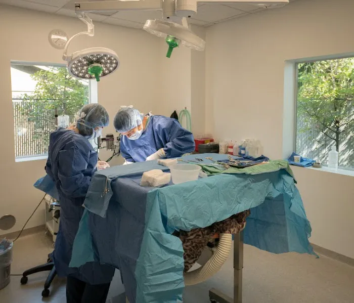 OREV, Specialty Vet Care 2