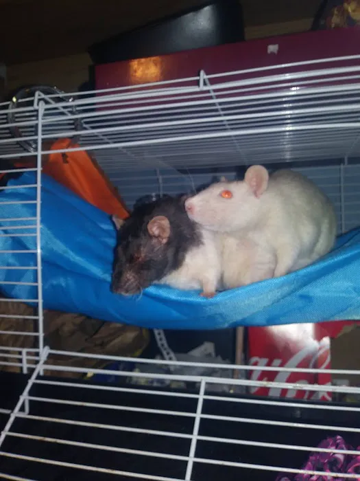 Northwest Exotic Pet Vet 6