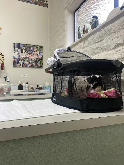 Northwest Exotic Pet Vet 1