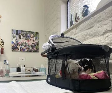 Northwest Exotic Pet Vet