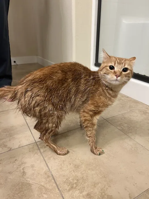 Banfield Pet Hospital 3