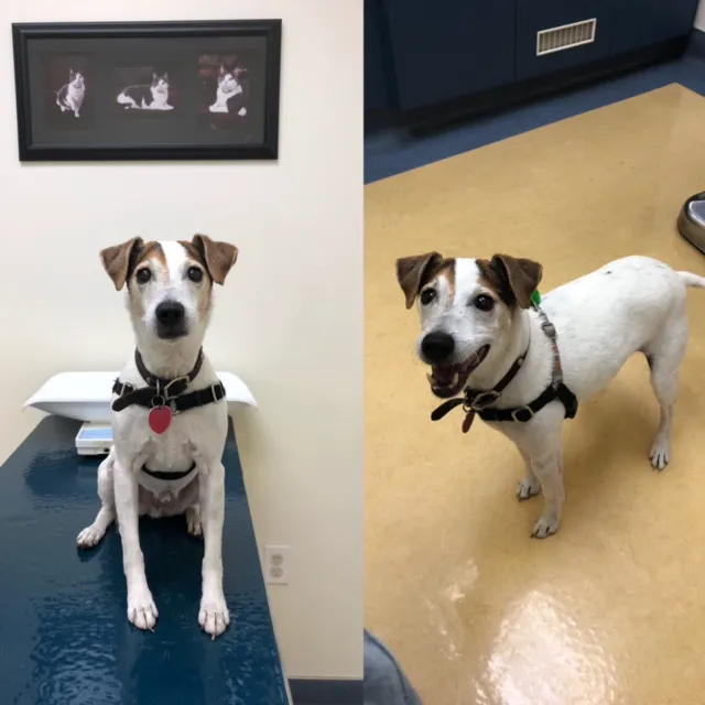 Gabriel Park Veterinary Clinic 1