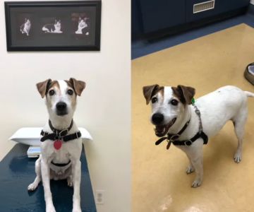 Gabriel Park Veterinary Clinic