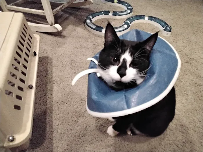 Gabriel Park Veterinary Clinic 9