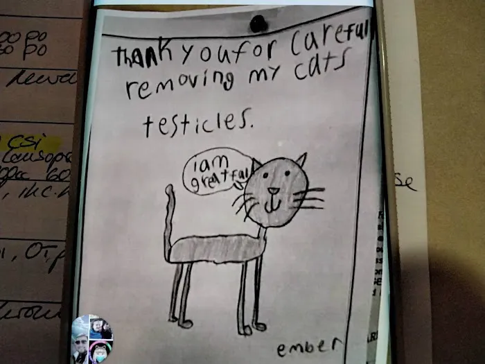 Gabriel Park Veterinary Clinic 6