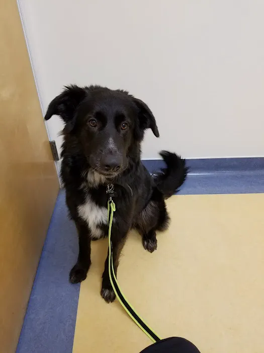 Gabriel Park Veterinary Clinic 3