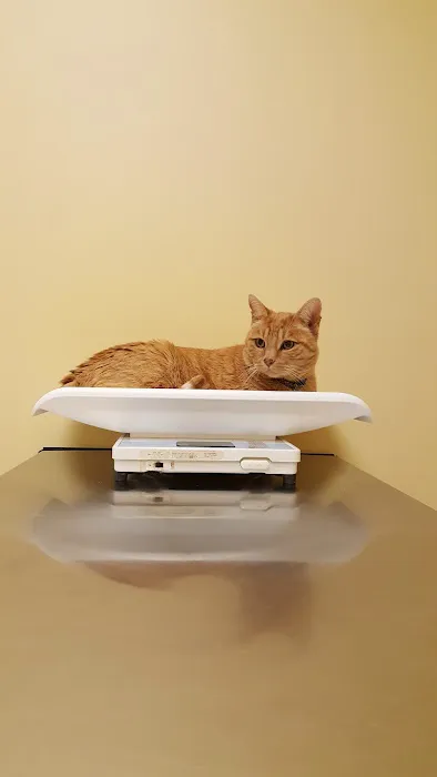 Gabriel Park Veterinary Clinic 8