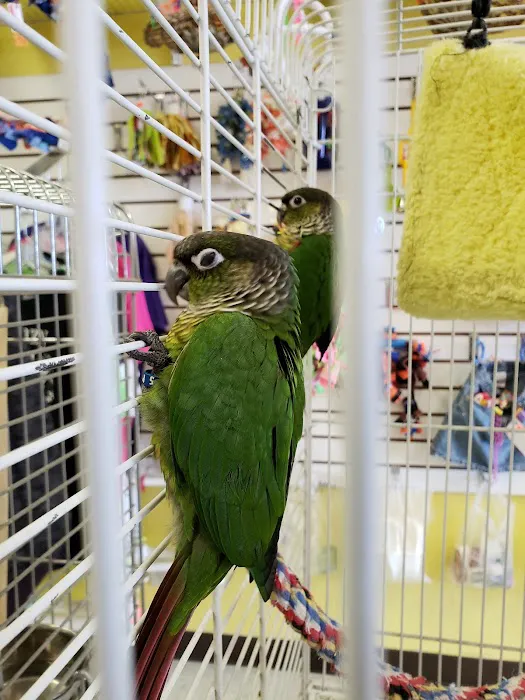 Mt Rushmore Birds/Paws Pet Bakery 2