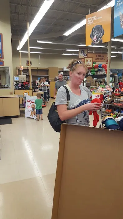Petco 2