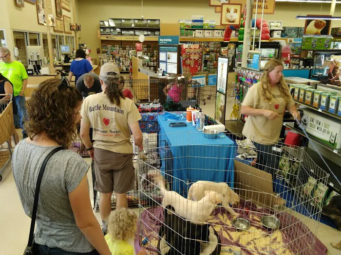 Petco 4