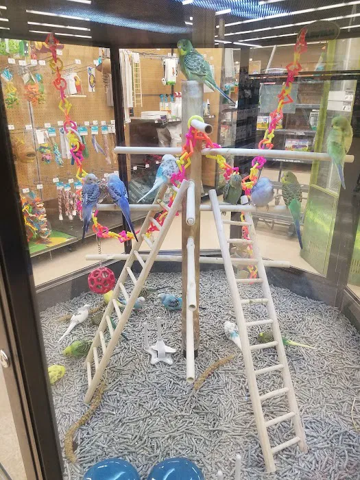 Petco 1