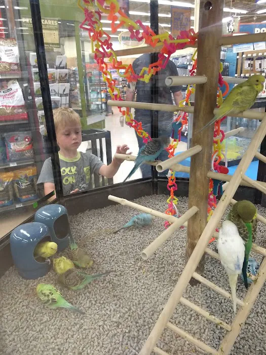 Petco 8