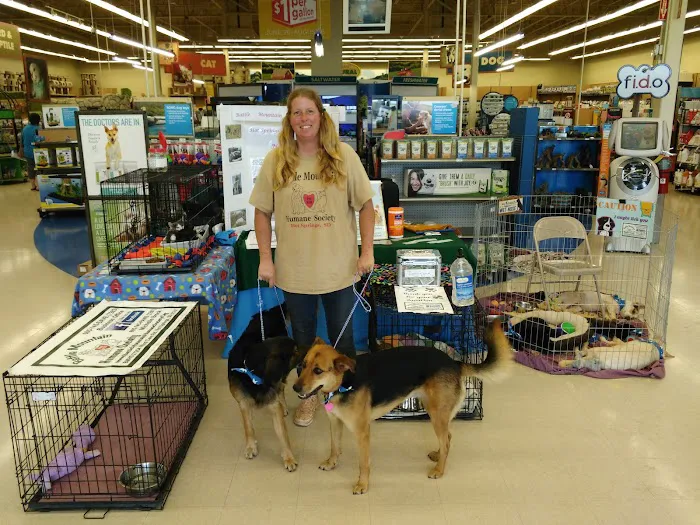 Petco 6