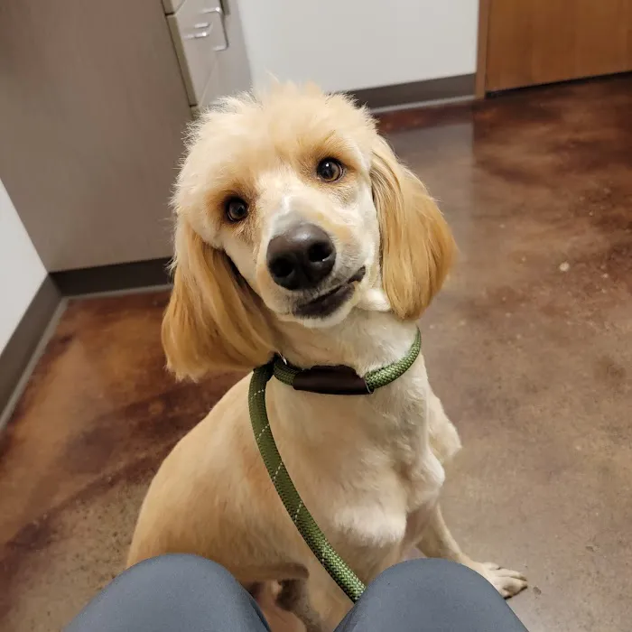 Woodland Veterinary Hospital 4