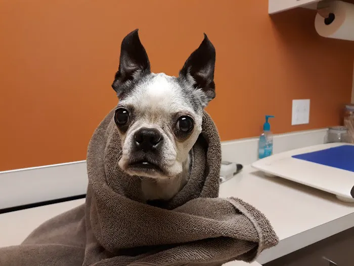 Woodland Veterinary Hospital 7