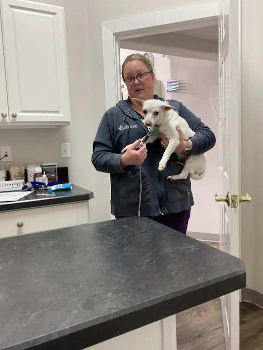 Scappoose Veterinary Hospital 5