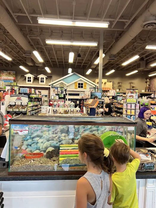 Market Street PET DEPOT 8