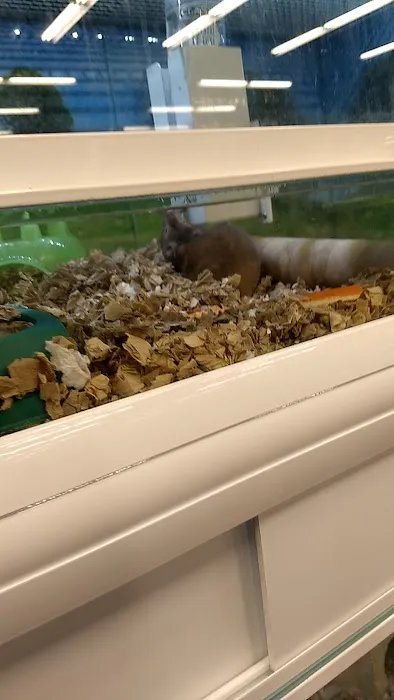 Market Street PET DEPOT 2