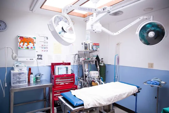 Town and Country Animal Hospital 9