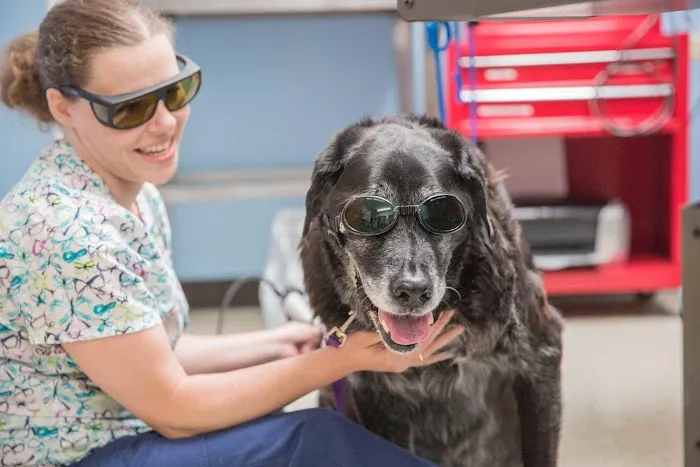 Town and Country Animal Hospital 8