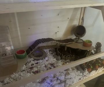 Petco