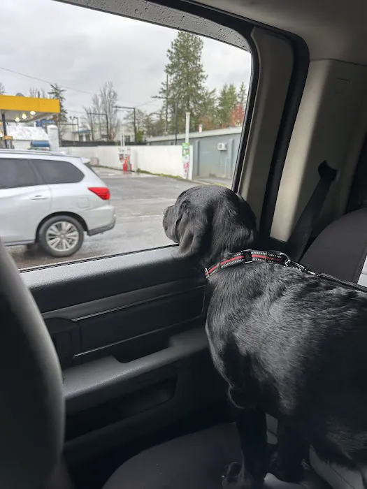 VCA Southeast Portland Animal Hospital 3