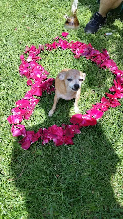 VCA Southeast Portland Animal Hospital 6