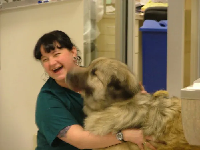 VCA Southeast Portland Animal Hospital 8