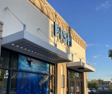 OnlyFins Aquatics LLC