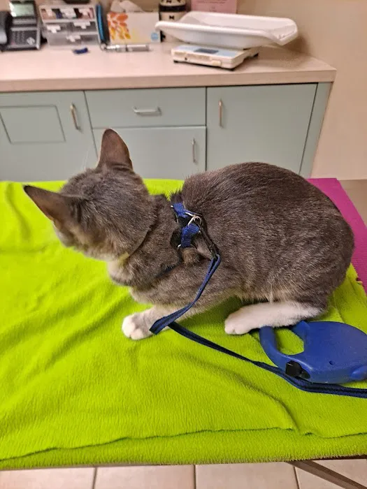 Halsey East Animal Clinic 1