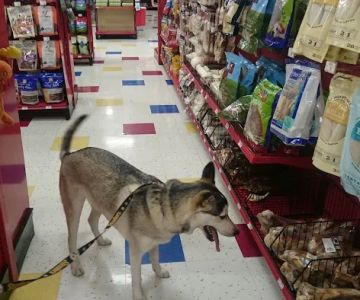 Petco