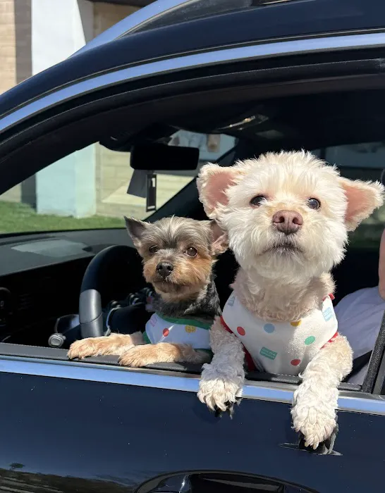 Fullerton Pet Clinic 12