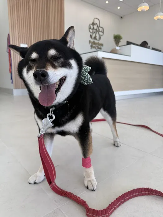 Fullerton Pet Clinic 12