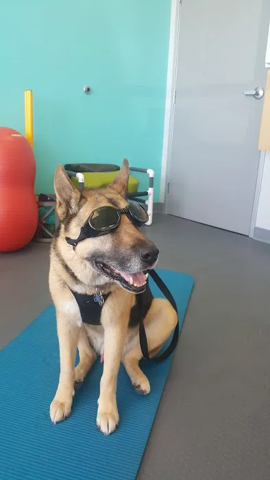 Healthy Paws Veterinary Care 1