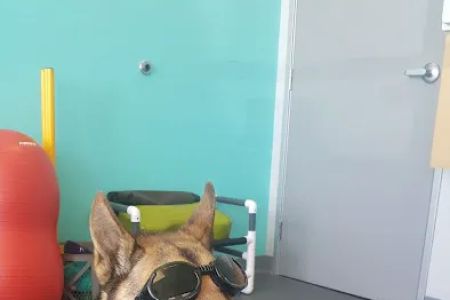 Healthy Paws Veterinary Care